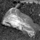 Yep, that’s a shiny rock, alright.
